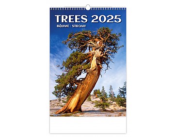 Nástěnný kalendář 2025 Kalendář Stromy