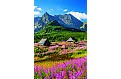 Nástěnný kalendář 2025 - Tatry